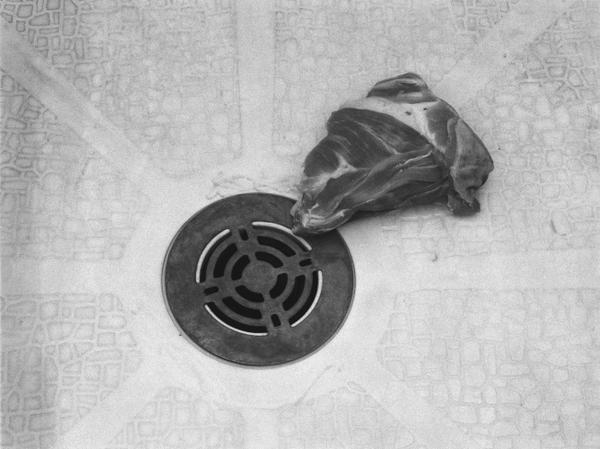 Meat and drain