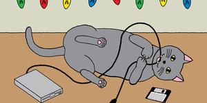 Gray cat with floppy disk, drive, and holiday lights
