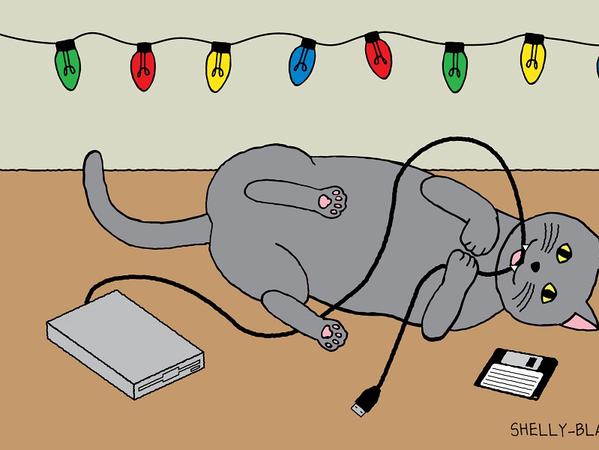 Gray cat with floppy disk, drive, and holiday lights