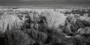 Yuma, AZ landscape