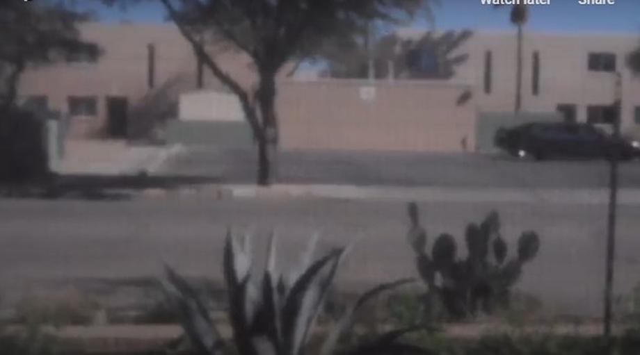 Video still of cacti and street