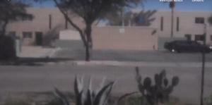 Video still of cacti and street